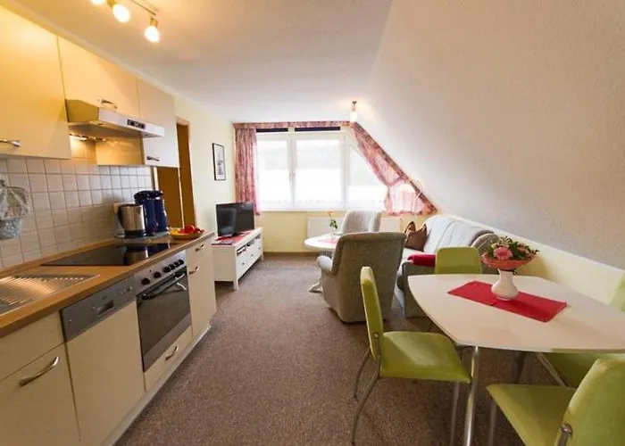 Schoen * زيمبين